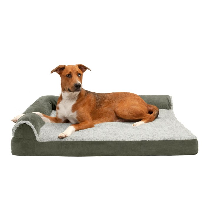 Dog beds