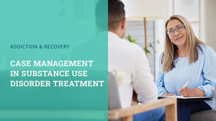 Substance adolescent abuse treatment overview suds ppt powerpoint presentation